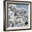 China 10MKm2 Collection - Another Look - White Forest-Philippe Hugonnard-Framed Photographic Print