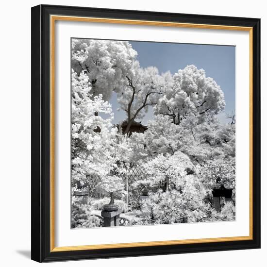 China 10MKm2 Collection - Another Look - White Forest-Philippe Hugonnard-Framed Photographic Print