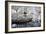 China 10MKm2 Collection - Another Look - White Pavilion-Philippe Hugonnard-Framed Photographic Print