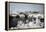 China 10MKm2 Collection - Another Look - Yulong Bridge-Philippe Hugonnard-Framed Premier Image Canvas