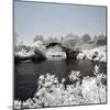 China 10MKm2 Collection - Another Look - Yulong Bridge-Philippe Hugonnard-Mounted Photographic Print
