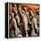 China 10MKm2 Collection - Army of Terracotta Warriors - Shaanxi Province-Philippe Hugonnard-Framed Premier Image Canvas