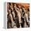 China 10MKm2 Collection - Army of Terracotta Warriors - Shaanxi Province-Philippe Hugonnard-Framed Premier Image Canvas