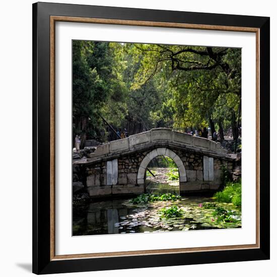 China 10MKm2 Collection - Asian Bridge-Philippe Hugonnard-Framed Photographic Print