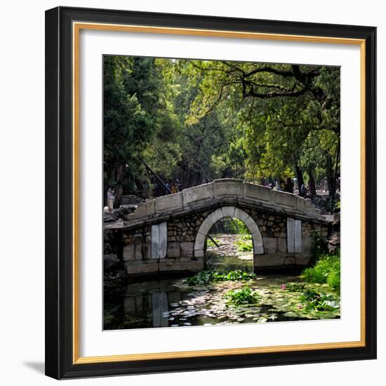 China 10MKm2 Collection - Asian Bridge-Philippe Hugonnard-Framed Photographic Print