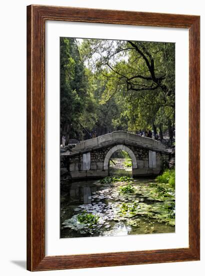 China 10MKm2 Collection - Asian Bridge-Philippe Hugonnard-Framed Photographic Print