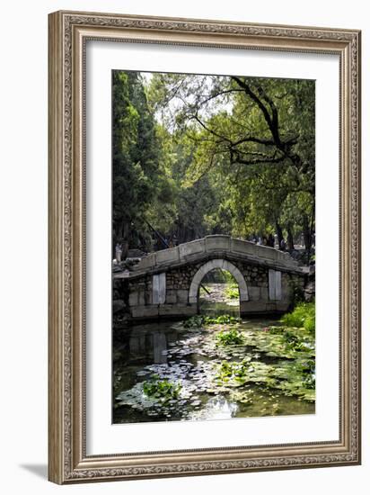 China 10MKm2 Collection - Asian Bridge-Philippe Hugonnard-Framed Photographic Print