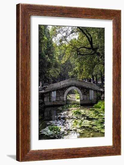China 10MKm2 Collection - Asian Bridge-Philippe Hugonnard-Framed Photographic Print