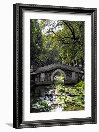 China 10MKm2 Collection - Asian Bridge-Philippe Hugonnard-Framed Photographic Print