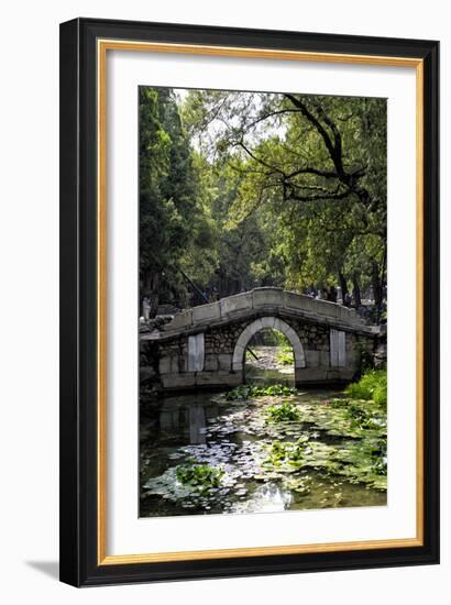 China 10MKm2 Collection - Asian Bridge-Philippe Hugonnard-Framed Photographic Print