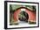 China 10MKm2 Collection - Asian Gateway-Philippe Hugonnard-Framed Photographic Print