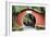 China 10MKm2 Collection - Asian Gateway-Philippe Hugonnard-Framed Photographic Print