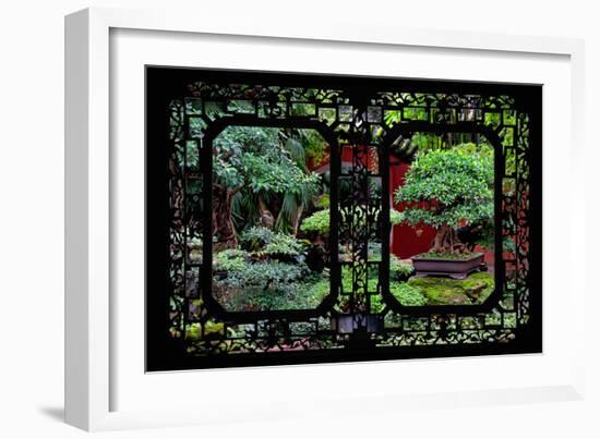 China 10MKm2 Collection - Asian Window - Bonsai Trees-Philippe Hugonnard-Framed Photographic Print