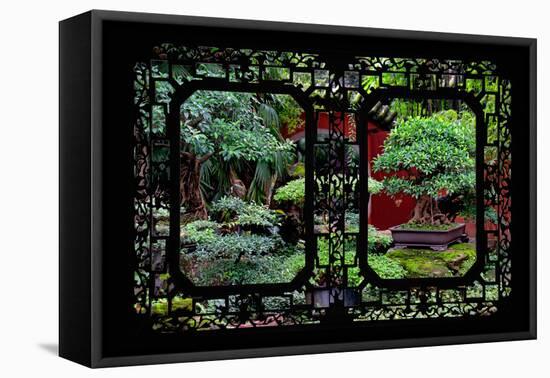 China 10MKm2 Collection - Asian Window - Bonsai Trees-Philippe Hugonnard-Framed Premier Image Canvas