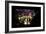 China 10MKm2 Collection - Asian Window - City Night Xi'an-Philippe Hugonnard-Framed Photographic Print