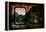 China 10MKm2 Collection - Asian Window - Guilin at night-Philippe Hugonnard-Framed Premier Image Canvas