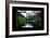 China 10MKm2 Collection - Asian Window - Rhinoceros Lake - Jiuzhaigou National Park-Philippe Hugonnard-Framed Photographic Print