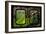 China 10MKm2 Collection - Asian Window - Rice Terraces - Longsheng Ping'an - Guangxi-Philippe Hugonnard-Framed Photographic Print