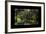 China 10MKm2 Collection - Asian Window - Romantic Bridge-Philippe Hugonnard-Framed Photographic Print