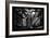 China 10MKm2 Collection - Asian Window - Traditional Architecture in Yuyuan Garden - Shanghai-Philippe Hugonnard-Framed Photographic Print