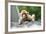 China 10MKm2 Collection - Baby Monkey-Philippe Hugonnard-Framed Photographic Print