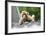 China 10MKm2 Collection - Baby Monkey-Philippe Hugonnard-Framed Photographic Print