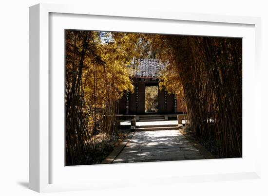 China 10MKm2 Collection - Bamboo Forest in Autumn-Philippe Hugonnard-Framed Photographic Print