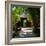 China 10MKm2 Collection - Bamboo Forest-Philippe Hugonnard-Framed Photographic Print