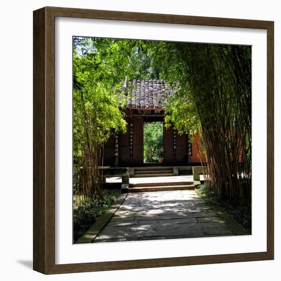 China 10MKm2 Collection - Bamboo Forest-Philippe Hugonnard-Framed Photographic Print