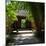 China 10MKm2 Collection - Bamboo Forest-Philippe Hugonnard-Mounted Photographic Print