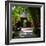 China 10MKm2 Collection - Bamboo Forest-Philippe Hugonnard-Framed Photographic Print