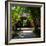 China 10MKm2 Collection - Bamboo Forest-Philippe Hugonnard-Framed Photographic Print