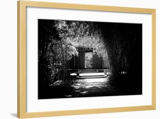 China 10MKm2 Collection - Bamboo Forest-Philippe Hugonnard-Framed Photographic Print