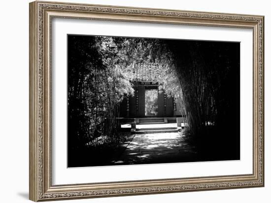 China 10MKm2 Collection - Bamboo Forest-Philippe Hugonnard-Framed Photographic Print