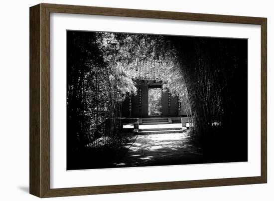 China 10MKm2 Collection - Bamboo Forest-Philippe Hugonnard-Framed Photographic Print