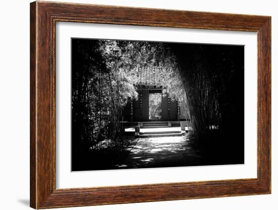 China 10MKm2 Collection - Bamboo Forest-Philippe Hugonnard-Framed Photographic Print