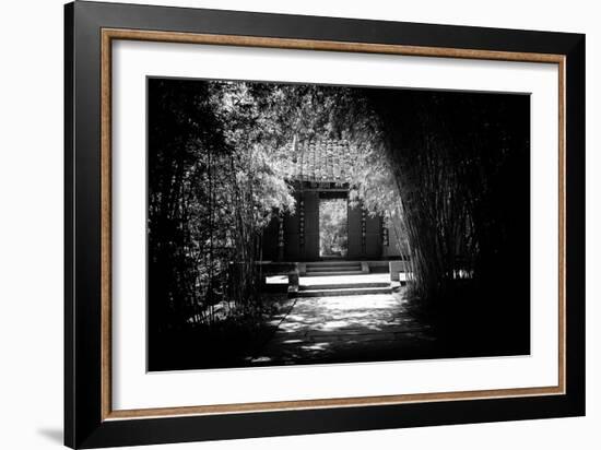 China 10MKm2 Collection - Bamboo Forest-Philippe Hugonnard-Framed Photographic Print