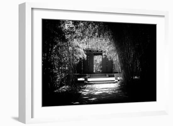 China 10MKm2 Collection - Bamboo Forest-Philippe Hugonnard-Framed Photographic Print