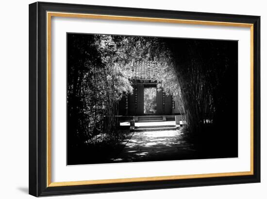 China 10MKm2 Collection - Bamboo Forest-Philippe Hugonnard-Framed Photographic Print