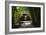 China 10MKm2 Collection - Bamboo Forest-Philippe Hugonnard-Framed Photographic Print