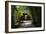 China 10MKm2 Collection - Bamboo Forest-Philippe Hugonnard-Framed Photographic Print