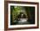 China 10MKm2 Collection - Bamboo Forest-Philippe Hugonnard-Framed Photographic Print