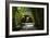 China 10MKm2 Collection - Bamboo Forest-Philippe Hugonnard-Framed Photographic Print