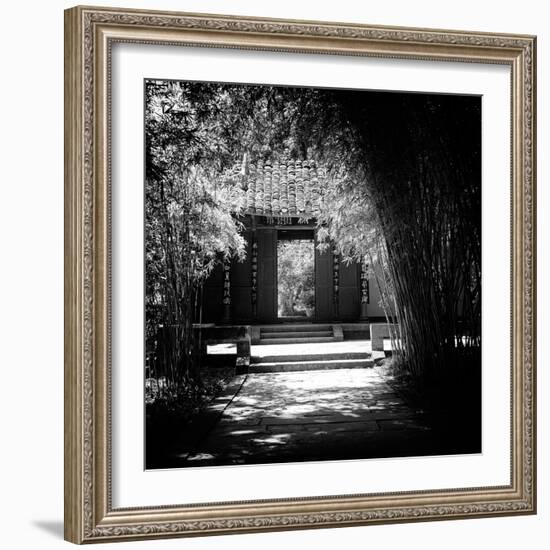 China 10MKm2 Collection - Bamboo Forest-Philippe Hugonnard-Framed Photographic Print