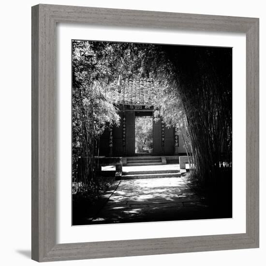 China 10MKm2 Collection - Bamboo Forest-Philippe Hugonnard-Framed Photographic Print