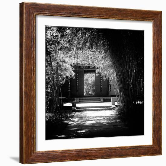 China 10MKm2 Collection - Bamboo Forest-Philippe Hugonnard-Framed Photographic Print