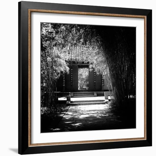 China 10MKm2 Collection - Bamboo Forest-Philippe Hugonnard-Framed Photographic Print