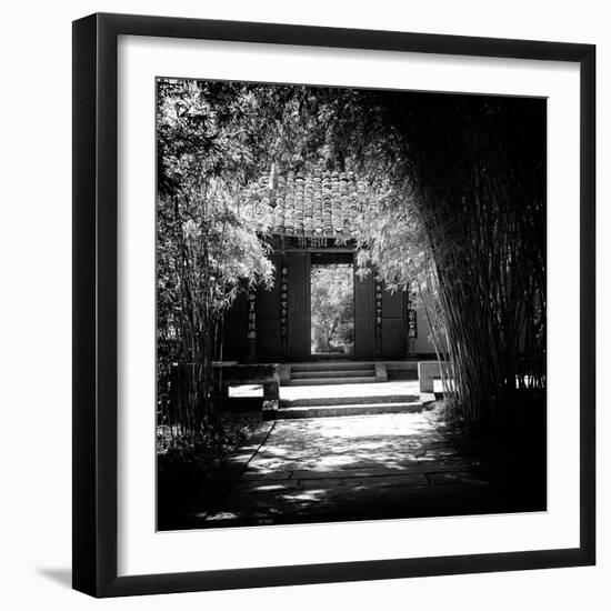 China 10MKm2 Collection - Bamboo Forest-Philippe Hugonnard-Framed Photographic Print