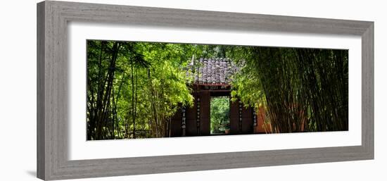 China 10MKm2 Collection - Bamboo Forest-Philippe Hugonnard-Framed Photographic Print