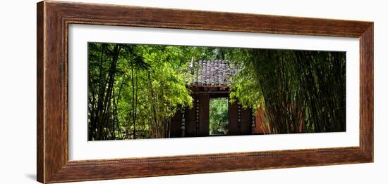 China 10MKm2 Collection - Bamboo Forest-Philippe Hugonnard-Framed Photographic Print